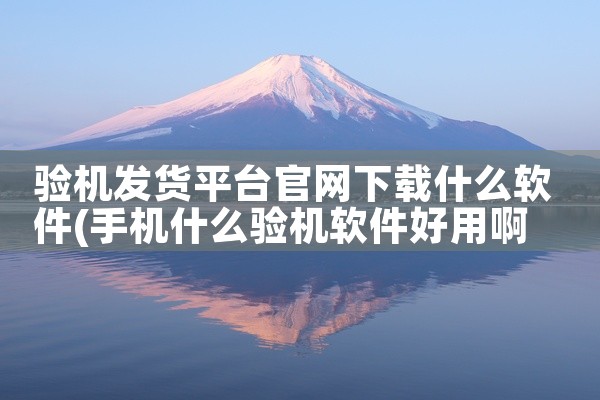 验机发货平台官网下载什么软件