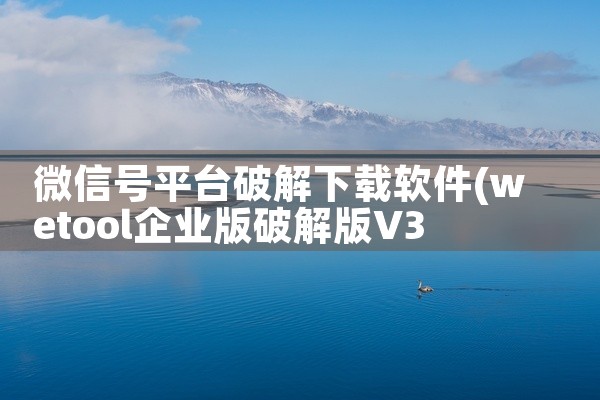 微信号平台破解下载软件