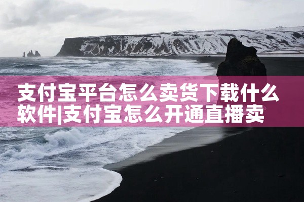 支付宝平台怎么卖货下载什么软件
