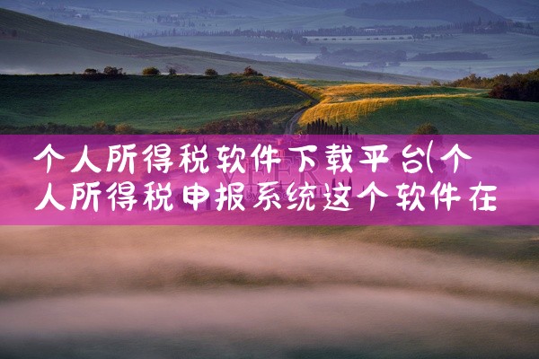 个人所得税软件下载平台