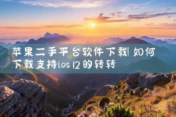 苹果二手平台软件下载
