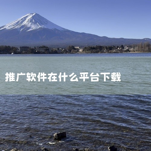 星漫网络：依托抖音生态，提供广告植入、品牌合作及明星代言等资源，适合需要品牌背书的推广场景。抖推猫短剧：抖推猫旗下平台，专注高质量短剧内容生产，适合追求内容品质的推广者。葡萄微剧与快追漫：均聚焦抖音短|